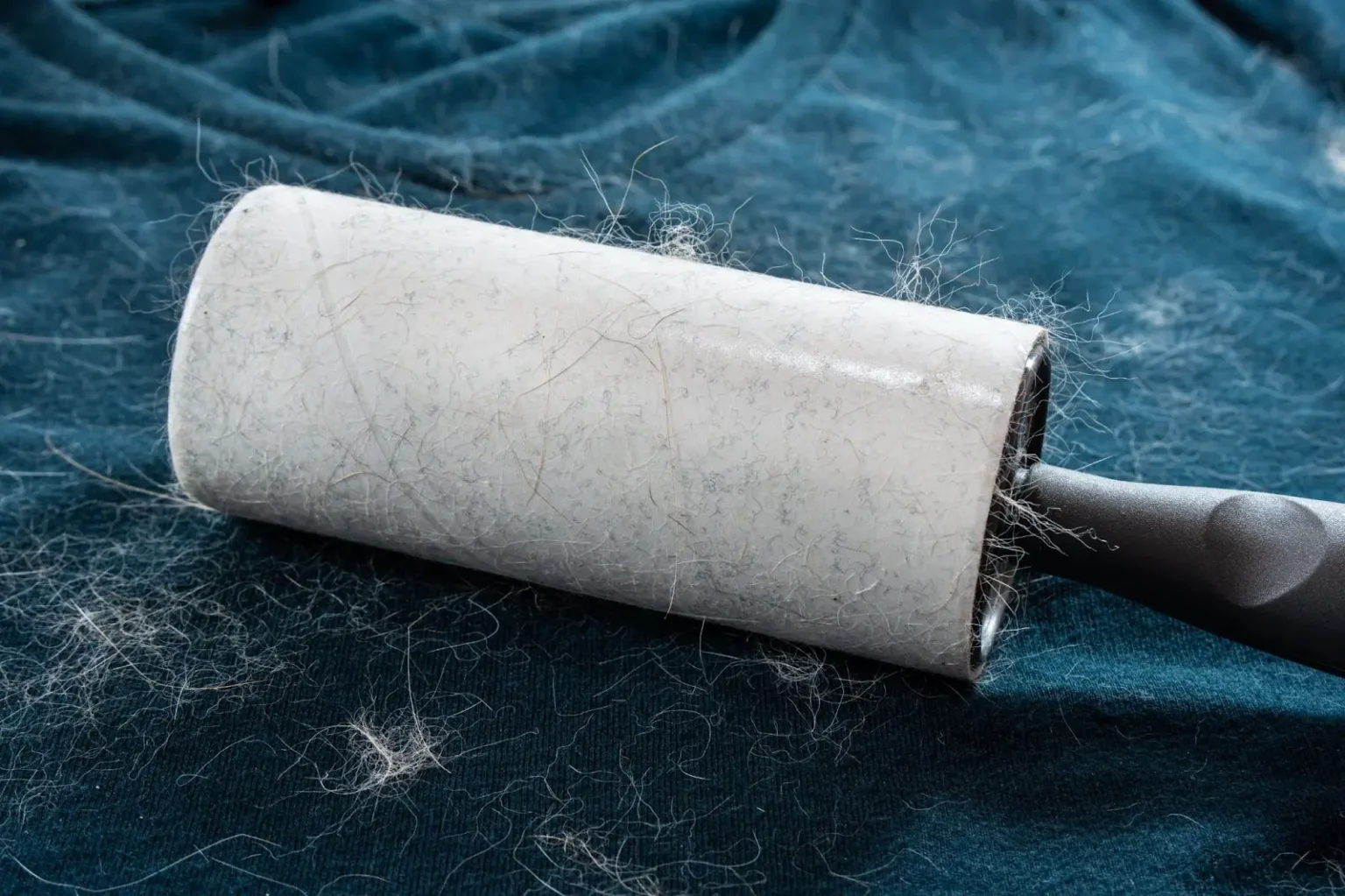 How To Get Pet Hair Out Of Laundry